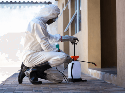 About Elite Choice Pest Control - Pest Control Perth experts in Perth