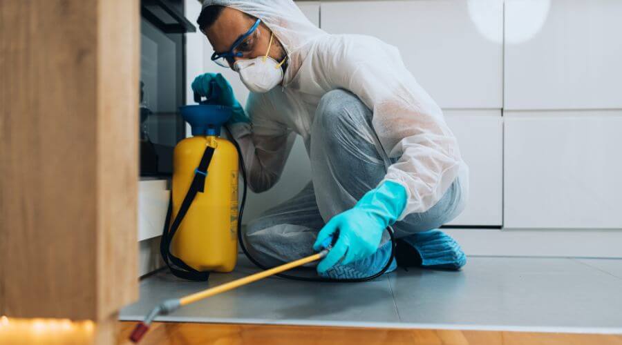 Professional Pest Control Perth services in Perth