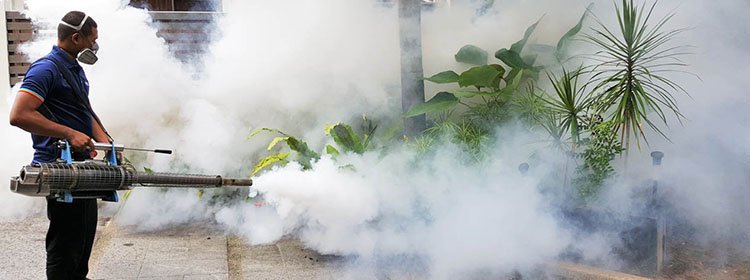 Mosquito Fogging in Melbourne