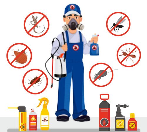 Pest Control Service in Melbourne