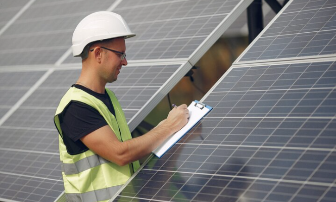 Bird Proofing Solar in Melbourne