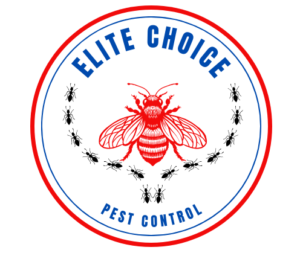 Picture of Elite Choice Pest Control