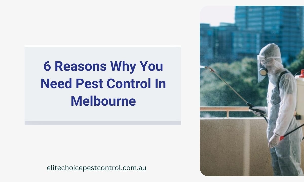 6 Reasons Why You Need Pest Control In Melbourne