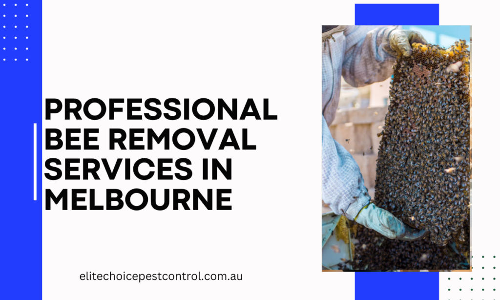 Professional Bee Removal Services in Melbourne